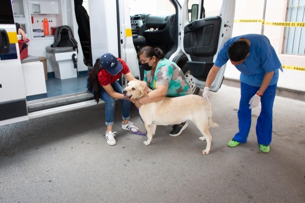 En Soledad, unidad AMBUDOG ofrece servicio veterinario en 5 colonias cada semana