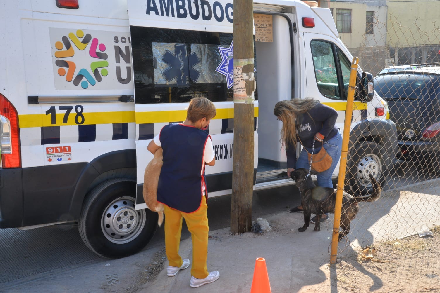 En Soledad, unidad AMBUDOG ofrece servicio veterinario en 5 colonias cada semana