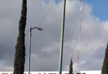 Gobierno de la Capital refuerza limpieza y manejo responsable de residuos en el Mercado Revolución